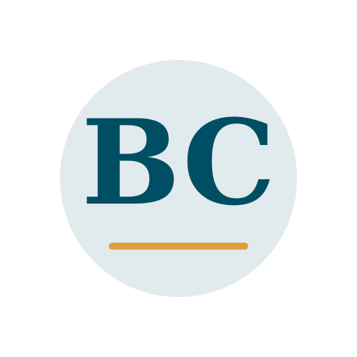 Banks Chimney Repair logo